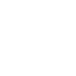 Dense-300x232