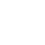 Ravi-Ollie-300x232